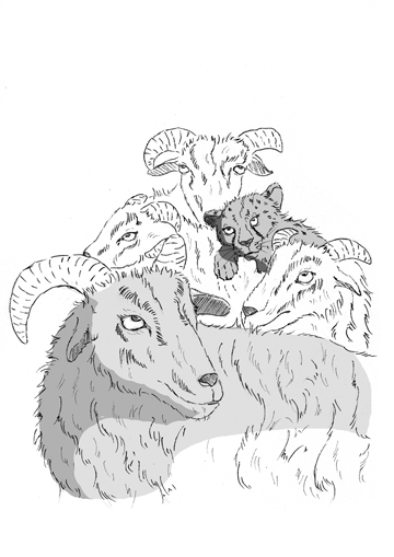 Von Parden und Lämmern