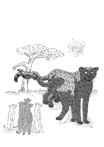 Nicht mehr und nicht weniger